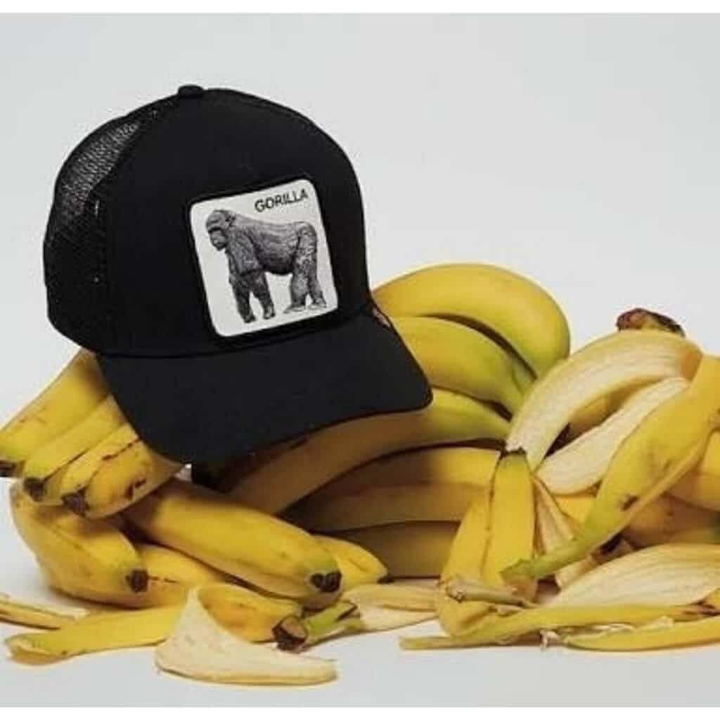 Goorin כובע מצחייה Gorilla.